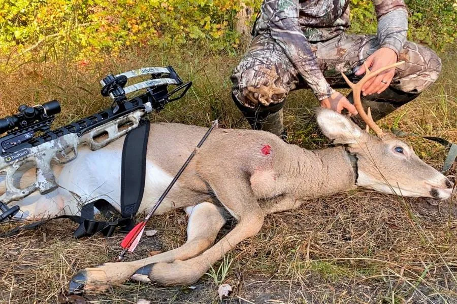 Best Hunting Crossbows - In-depth Reviews