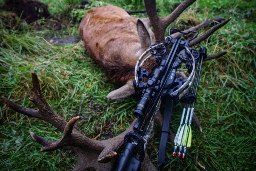 Best Hunting Crossbows of 2026