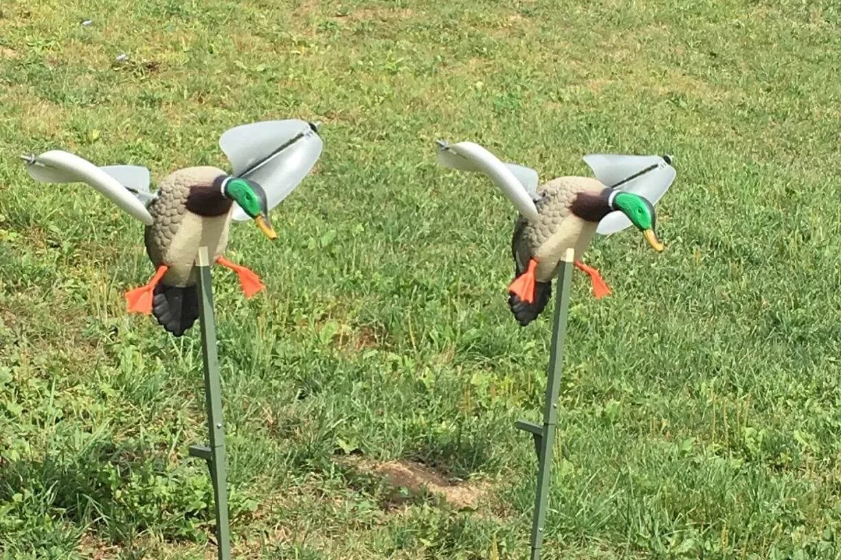 Best Duck Decoys ( Reviewed and Tested)