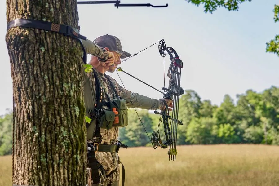 Eight best tree stand harnesses for hunting in 2026 - Comfort Level
