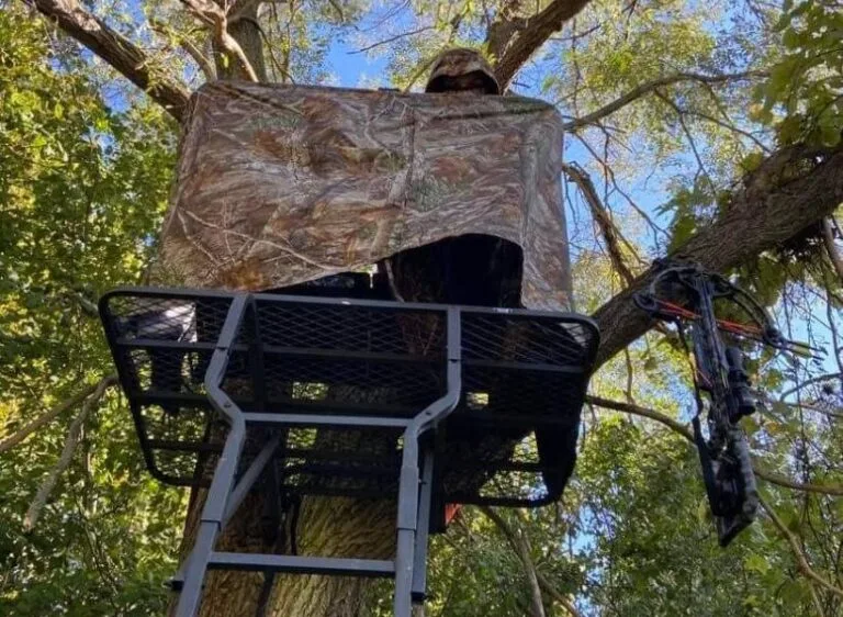 Best Tree Stand Blinds Reviews