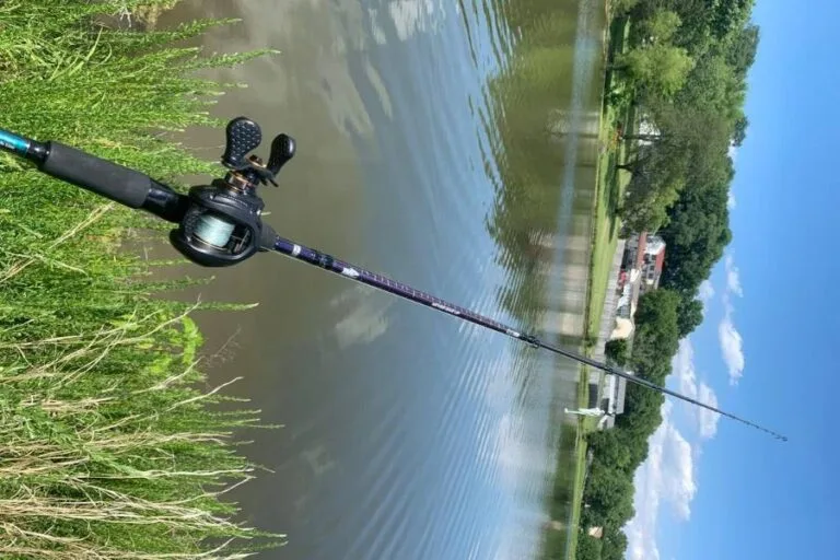 Best Baitcasting Rods for Bass