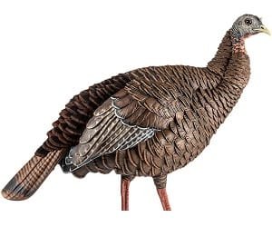Avian-X HDR Hen Turkey Decoy with realistic hand-painted feather details