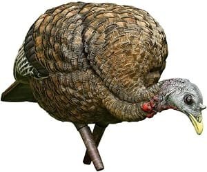 Avian-X LCD Feeder Hen collapsible realistic turkey decoy