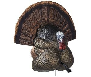 Flextone Thunder Creeper Strutter turkey decoy with aggressive gobbler posture
