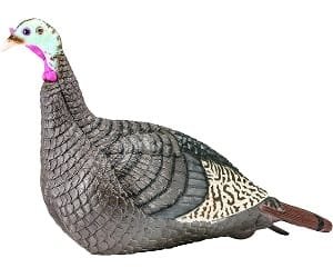 Hunters Specialties Strut-Lite Hen turkey decoy with realistic feeding posture