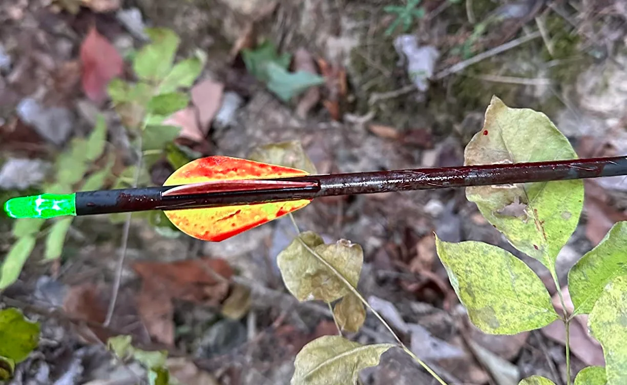 The 7 Best Lighted Nocks: According to Testing