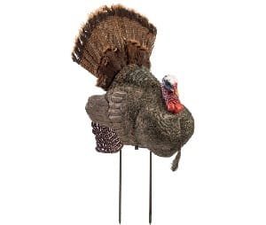 RedHead Reality Series Crazy Jake half-strut turkey decoy for spring gobbler hunting
