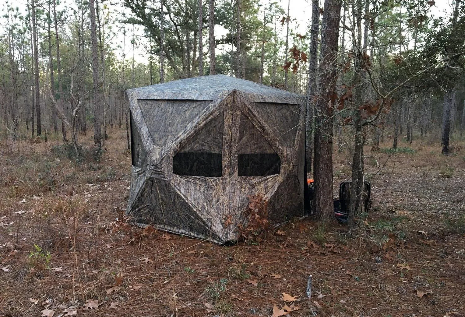 Best turkey Blinds Review
