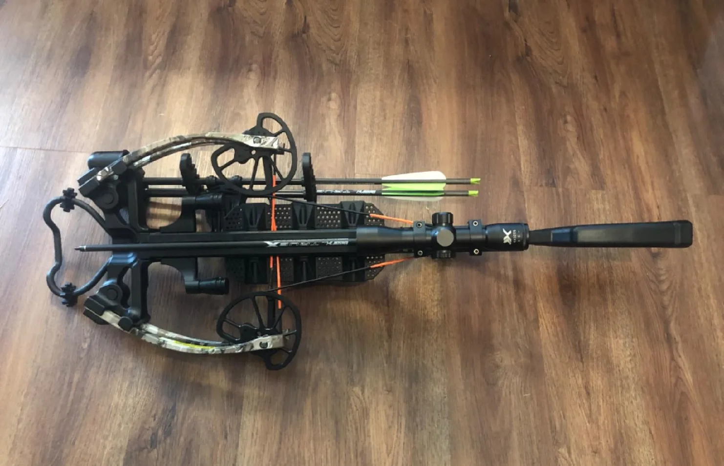 bearx intense crossbow