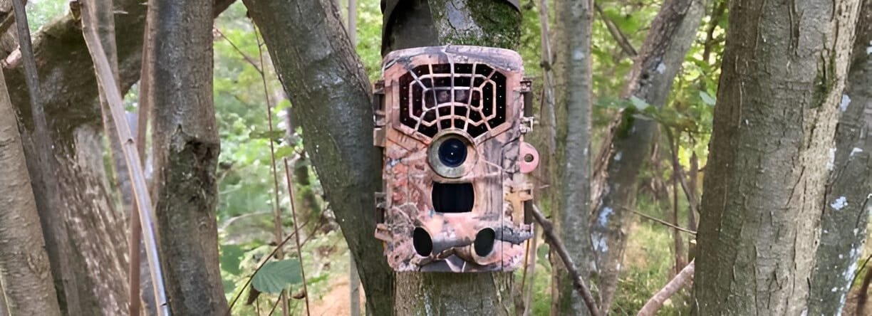 Is it Cheating to Use Wireless Trail Cameras