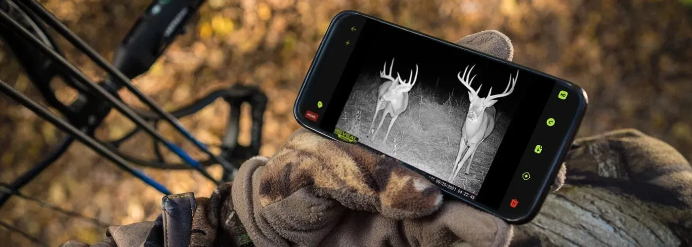 20 Trail Camera Tips for Better Shots
