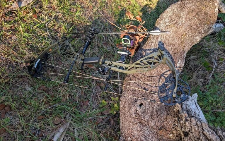 Bear Archery Whitetail INT RTH: Field Test