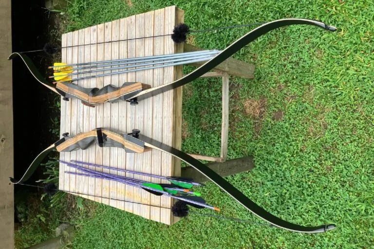 Best Recurve Bows for Hunting & Target Practice