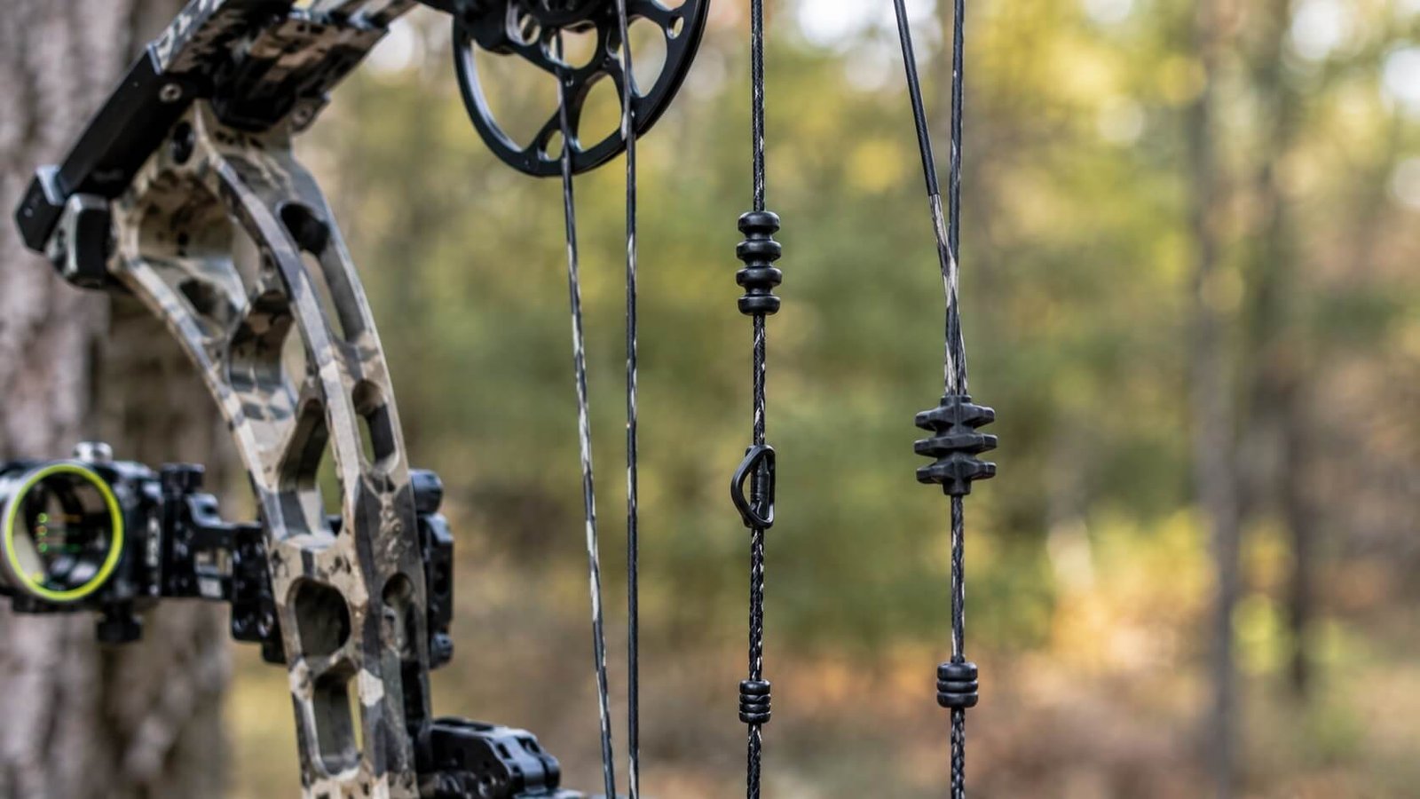 Limb vibration dampeners installed on a compound bow